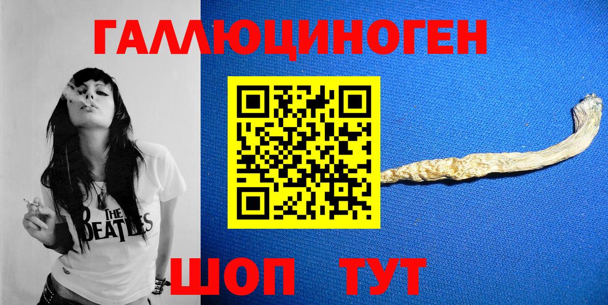 Богородск  Галлюциногенные грибы Psilocybine cubensis  Вход с VPN 