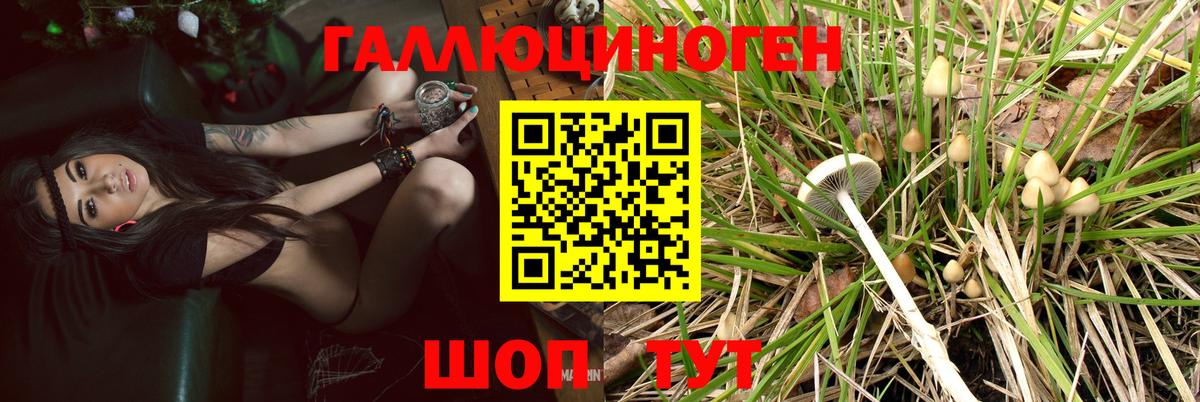 Галлюциногенные грибы мухоморы Богородск